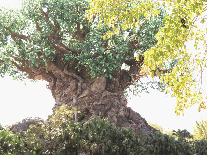 The Tree of Life 